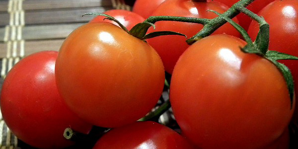 В Ростове уничтожили партию томатов и кабачков из Турции